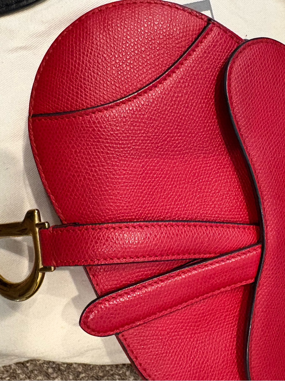 Dior Red Mini Saddle Bag with Aztec Embroidered Guitar Strap - EUC w CoA! - Picture 3 of 16